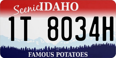 ID license plate 1T8034H