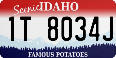 ID license plate 1T8034J