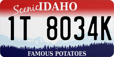 ID license plate 1T8034K