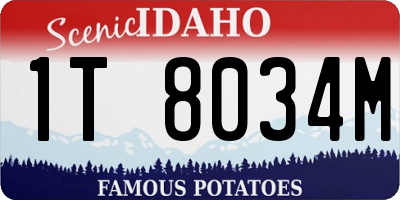 ID license plate 1T8034M