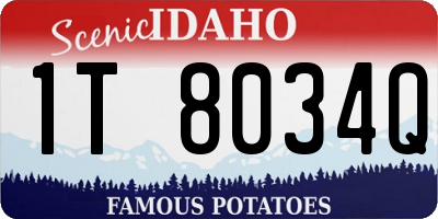 ID license plate 1T8034Q