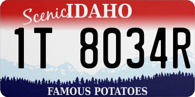 ID license plate 1T8034R