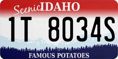 ID license plate 1T8034S