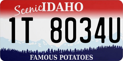 ID license plate 1T8034U