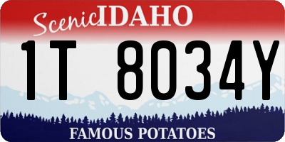 ID license plate 1T8034Y