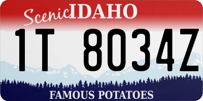 ID license plate 1T8034Z