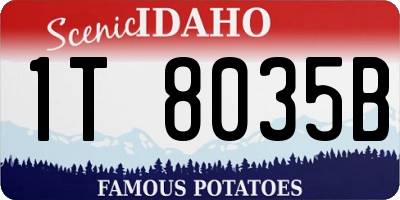 ID license plate 1T8035B