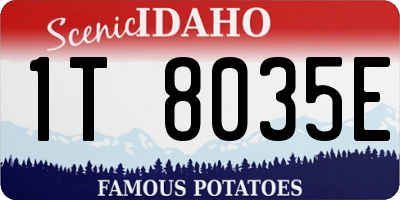 ID license plate 1T8035E