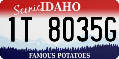 ID license plate 1T8035G