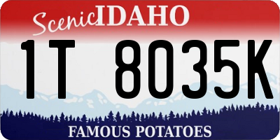 ID license plate 1T8035K