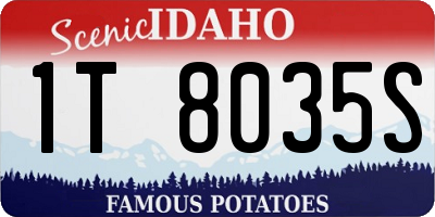 ID license plate 1T8035S