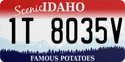 ID license plate 1T8035V