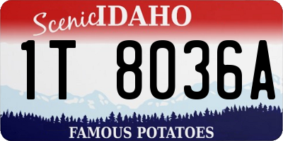 ID license plate 1T8036A