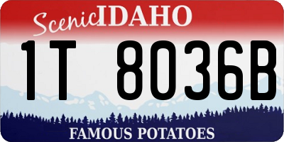 ID license plate 1T8036B