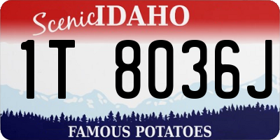 ID license plate 1T8036J