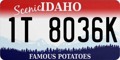 ID license plate 1T8036K