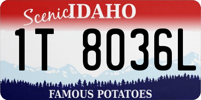 ID license plate 1T8036L
