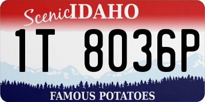 ID license plate 1T8036P
