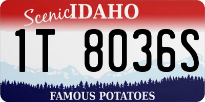 ID license plate 1T8036S