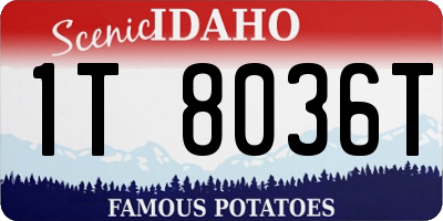 ID license plate 1T8036T