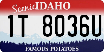 ID license plate 1T8036U