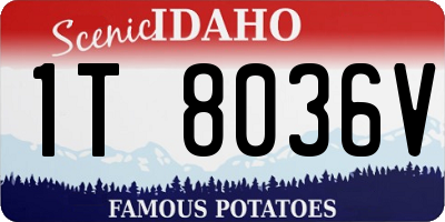 ID license plate 1T8036V