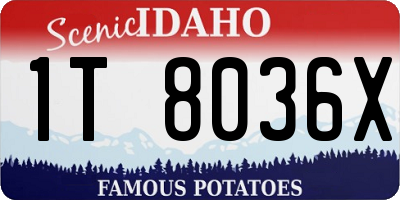 ID license plate 1T8036X