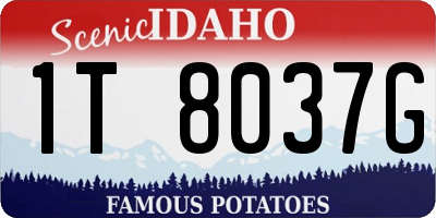 ID license plate 1T8037G
