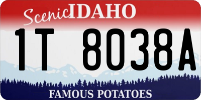 ID license plate 1T8038A
