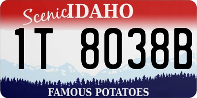 ID license plate 1T8038B