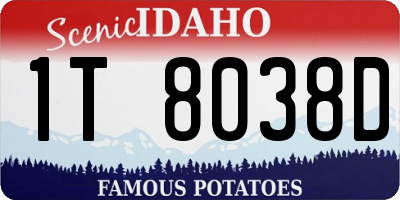 ID license plate 1T8038D