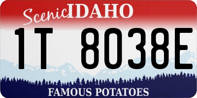 ID license plate 1T8038E