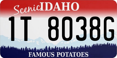 ID license plate 1T8038G