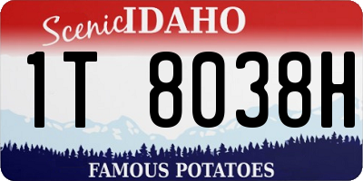 ID license plate 1T8038H