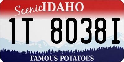 ID license plate 1T8038I