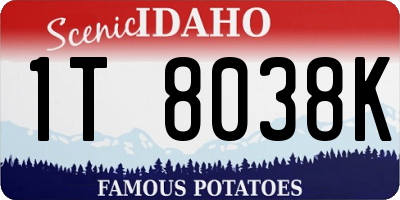 ID license plate 1T8038K
