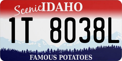 ID license plate 1T8038L