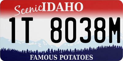 ID license plate 1T8038M