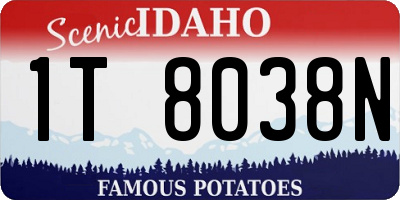 ID license plate 1T8038N