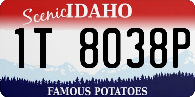 ID license plate 1T8038P