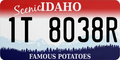 ID license plate 1T8038R