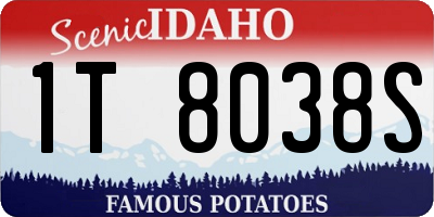 ID license plate 1T8038S