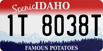 ID license plate 1T8038T