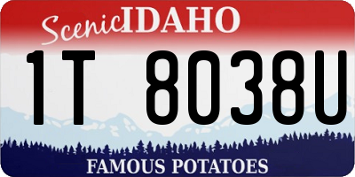 ID license plate 1T8038U