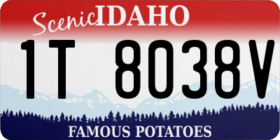 ID license plate 1T8038V