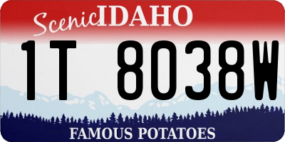 ID license plate 1T8038W