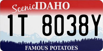 ID license plate 1T8038Y