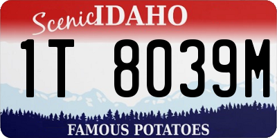 ID license plate 1T8039M