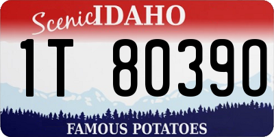 ID license plate 1T8039O