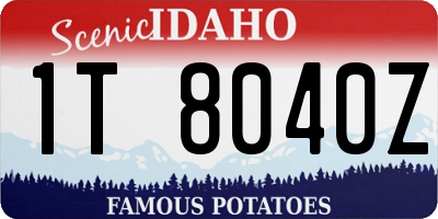 ID license plate 1T8040Z